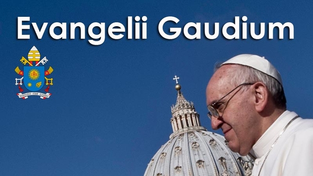 Tông huấn Evangelii Gaudium - Niềm vui của Tin Mừng (4)
