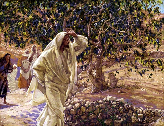 Tại sao Chúa Giêsu nguyền rủa cây vả? (Mc 11, 12-14. 20-21)