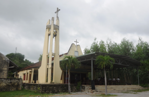 Cây mãi hồi sinh