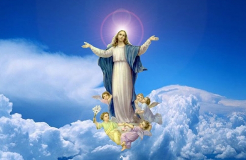 Gợi ý bài giảng của Lễ Đức Mẹ Hồn Xác Lên Trời: Những bước chân mang sứ điệp "Magnificat"