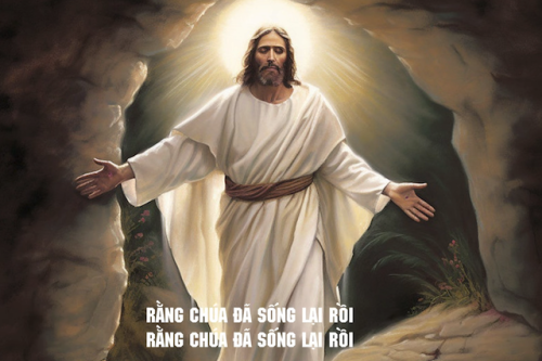 Screenshot 2026 04 13 at 19 22 37