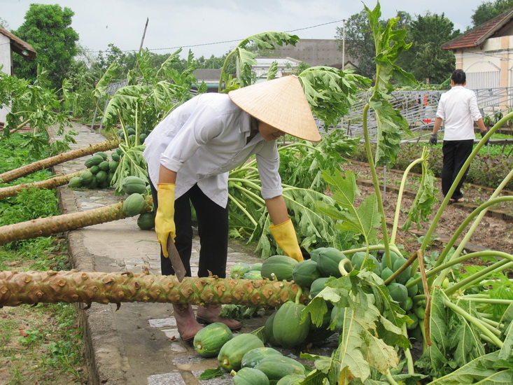 Nghĩ mà thương chị !