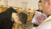Baptism Ukraine