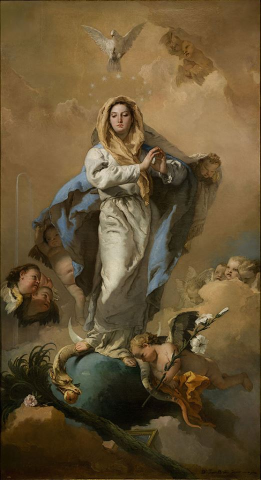 immaculata
